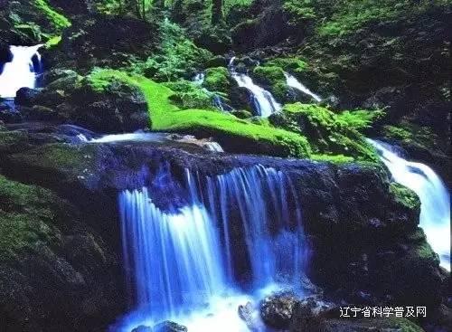 这首歌背后有什么故事吗